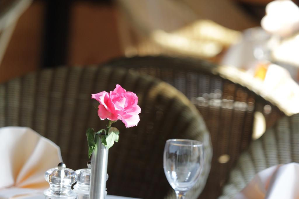 Relexa Hotel Bad Salzdetfurth Ngoại thất bức ảnh